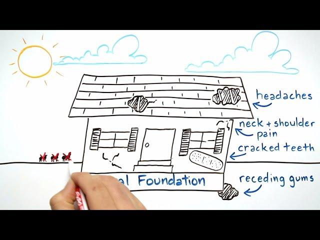 How Dr. Hal Stewart Strengthens Your Oral Foundation (Whiteboard Animation)