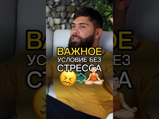 Как Не Стрессовать ‍️ #НатальяЧеркес #успех #деньги #КонстантинДемиденко