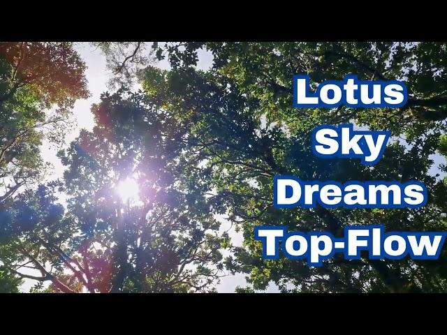 Lotus Sky Dreams-Top-Flow-Best Free Music Resources for YouTube and Social Media