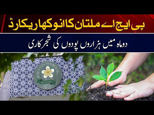 A unique record of PHA Multan - Plantation of thousands of saplings in 2 months.