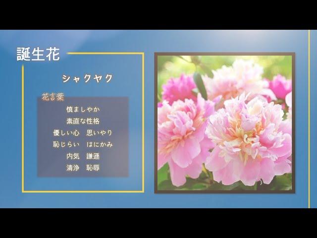 【今日は何の日？】2月8日まとめ、〒マークの日、木製ハンバーの日、にわとりの日、「メンデルの法則」発表、NASDAQが取引開始、第14・16・19回冬季オリンピック開幕