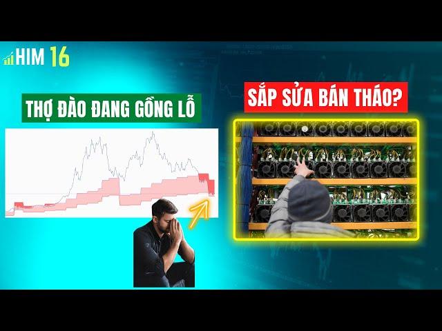Thợ Đào Bitcoin Thua Lỗ & Đóng Cửa  - Phân Tích On Chain - Hot In Market (HIM) #16