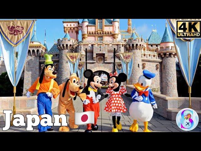 Japan  Disney Land At night time.  Tokyo 2024