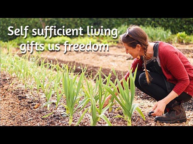 Permaculture Garden Tour & Planting Plan - Self Sufficient Living UK