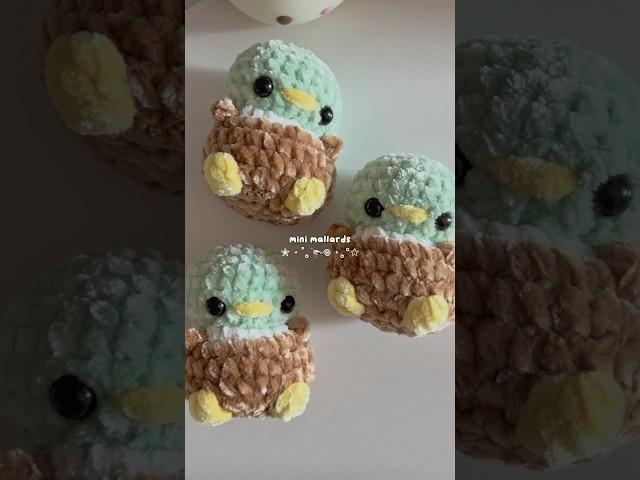 i spend most of my time making these  #crochet #kawaii #cute #mallards #plushies #smallbiz