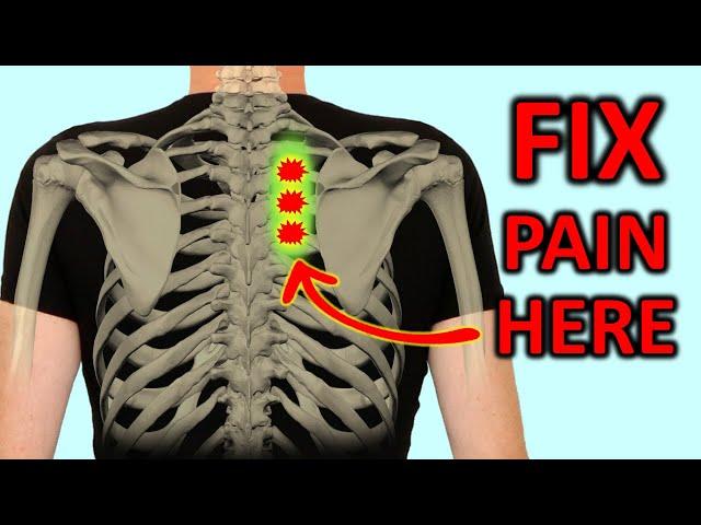 "Rhomboid Pain": How To Fix Shoulder Blade Pain Quickly.