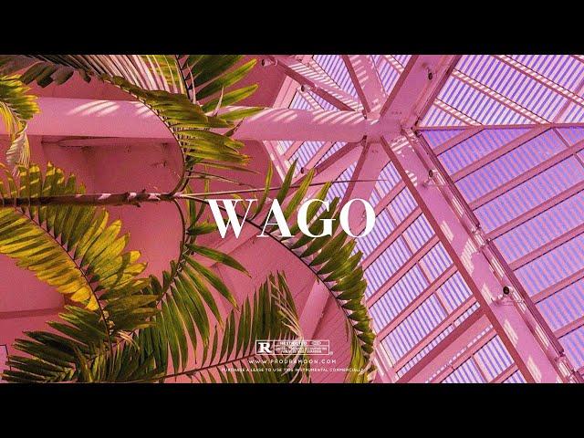 "Wago" - Rema x Wizkid Type Beat