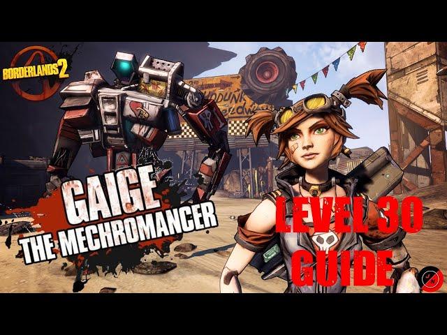 Beginners Guide to Gaige the Mechromancer | Level 30 Guide | Borderlands 2