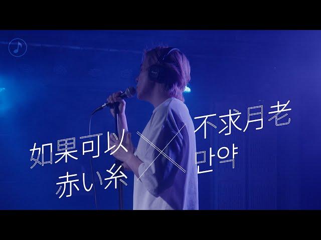 如果可以+不求月老+赤い糸+만약 / 原唱韋禮安 [Covered by 應智越 細貓]｜電影《月老》主題曲