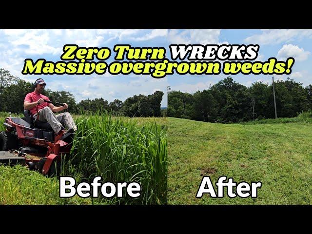 4 FOOT high weeds vs TORO TITAN 60" Farm Grade Zero Turn!