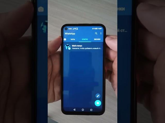 Скрыть свой статус в WhatsApp