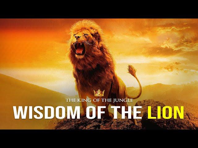 Wisdom Of The Lion - Powerful Motivational Video