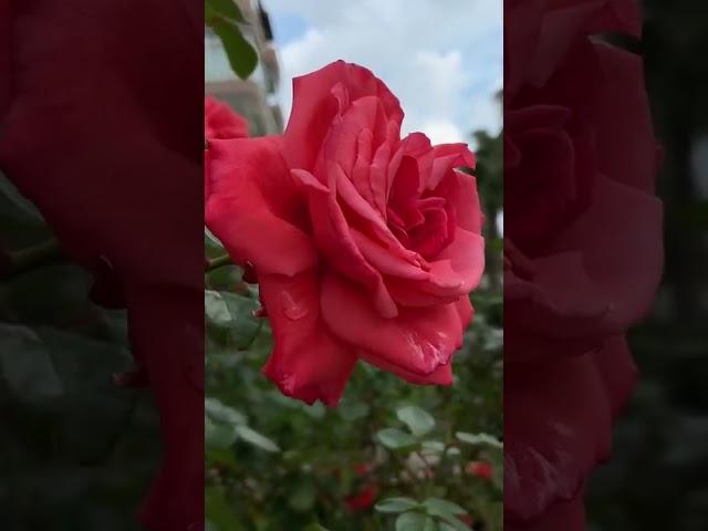 21 мая 2022 г.