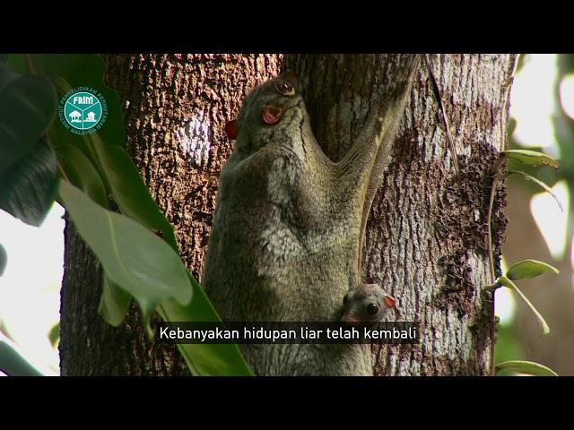 FRIM: A Heritage of 100 Years' Tropical Forestry Research in Malaysia