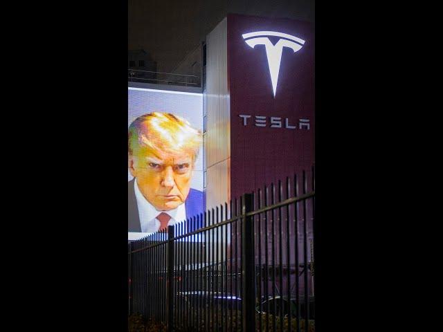 TESLA = TRUMP