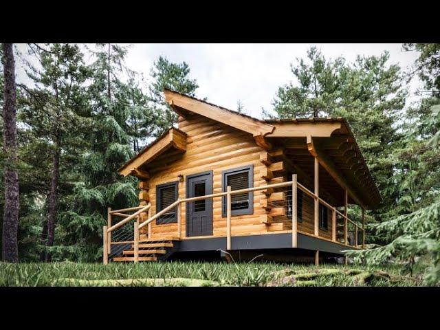 Log Cabin Building TIMELAPSE Built by ONE MAN (and Grandson)