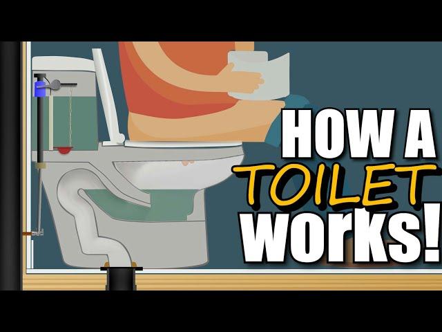 How a Toilet Works (4K) | GOT2LEARN