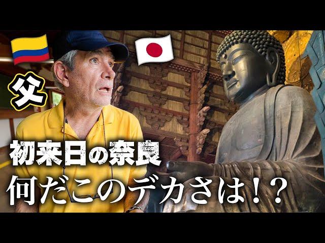 The biggest sitting Buddha in Japan struck him speechless | Nara, Japan