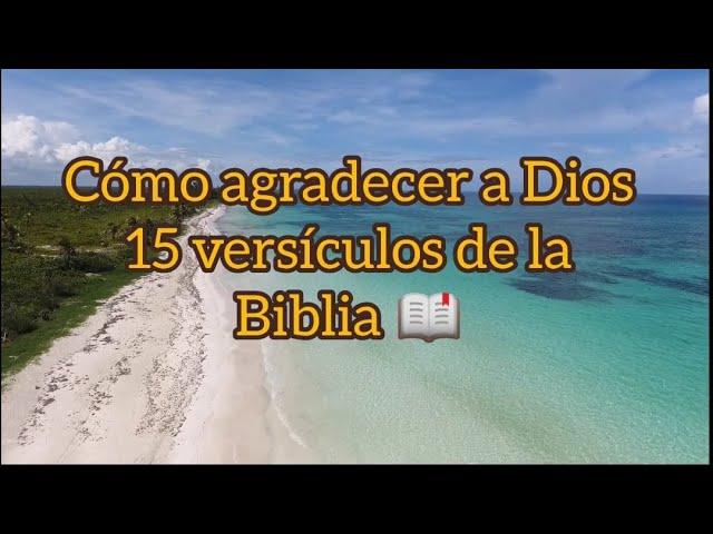 Como agrecerle a DIOS | 15 versículos bíblicos para ser agradecidos