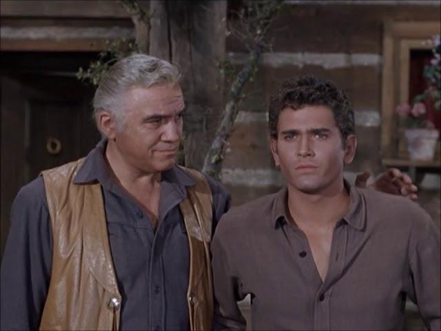 Bonanza, The Cartwrights: "At Your Side"