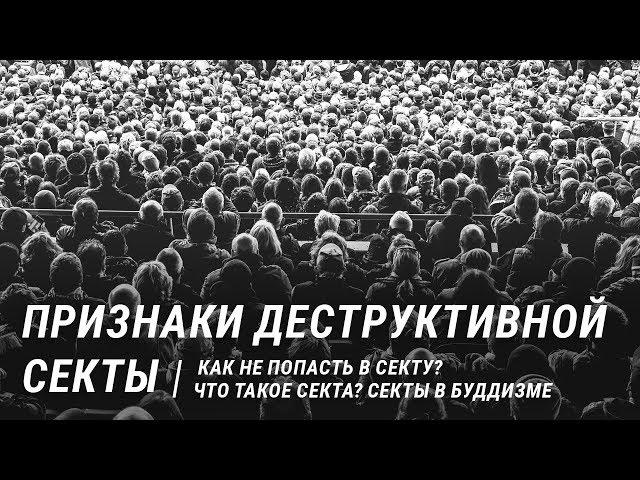 Как не попасть в секту? Что такое секта? Признаки деструктивной секты. Вред сект. Секты в Буддизме.