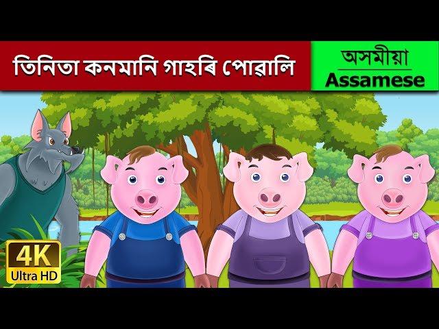 তিনিতা কনমানি গাহৰি পোৱালি | Three Little Pigs in Assamese | Assamese Story | Assamese Fairy Tales