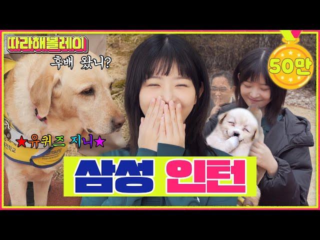 Shh! Work idol IVE REI, 0% Quitting rate Debuted as a guide dog school trainer! | Follow REI EP.23