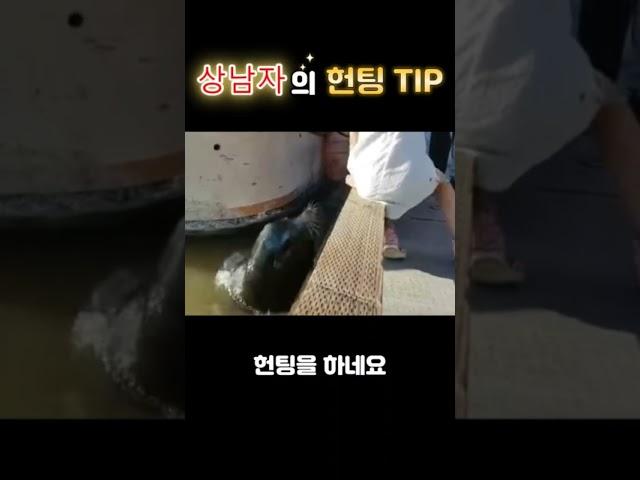 상남자의 헌팅 꿀팁 #shorts #헌팅포차 #사냥 #헌팅