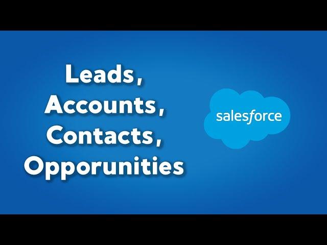 Salesforce Leads, Opportunities, Accounts, and Contacts Explained | Simple Salesforce