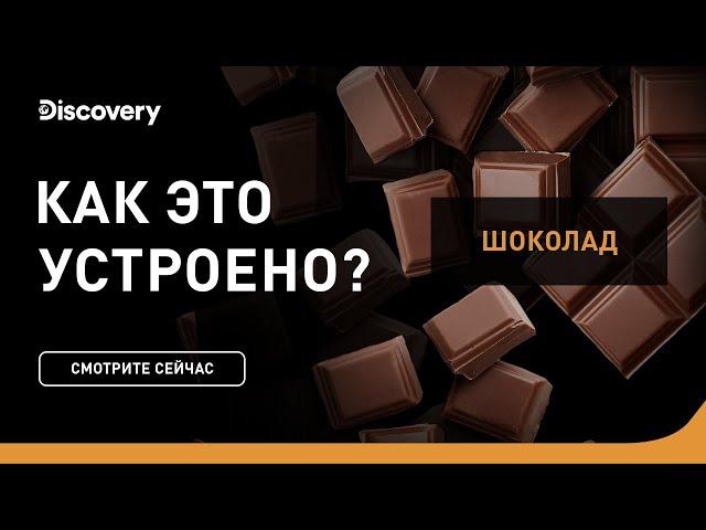 Производство шоколадных конфет | Как это устроено | Discovery Channel