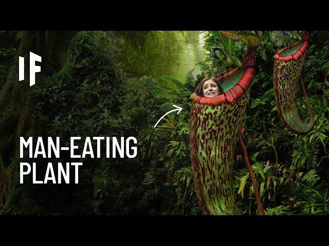 What If You Were Trapped in a Meat-Eating Plant?