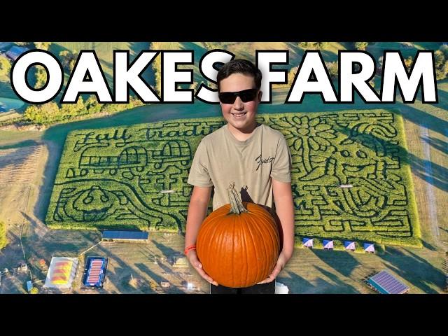 GIANT Corn Maze & Pumpkin Patch at Oakes Farm in Corryton Tennessee!