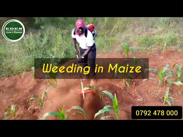 MOTORIZED WEEDING MACHINE -  (KENYA)