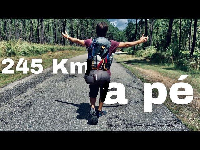 245 Km on Foot | Camino de Santiago de Compostela 2022 [Documentary]