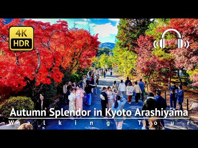 Autumn Splendor in Kyoto Arashiyama: A Walk Through Vibrant Foliage and Bamboo Groves