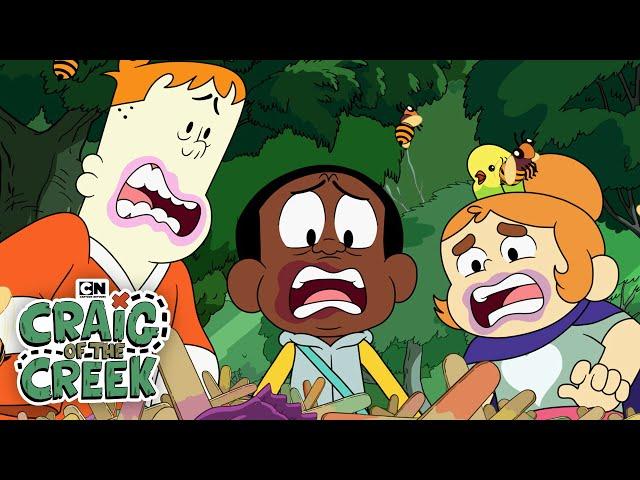 Buggin' Out | Craig of the Creek | Cartoon Network