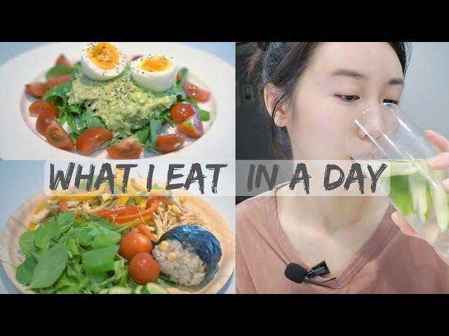 【一天吃什么】我的健康减脂餐 What I Eat In A Day