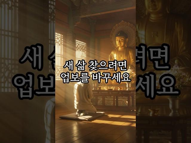 새 삶 찾으려면 업보를 바꾸세요 ｜지금 내 운명을 바꾸는 오디오북 | 불교명언 #shorts