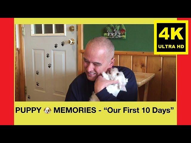 PUPPY  MEMORIES - “Our First 10 Days” - Miniature Schnauzer Brothers