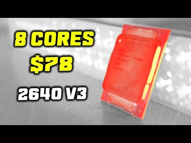 8 HASWELL Cores For only $78...!? (E5-2630 and 2640 v3 Review in 2020)