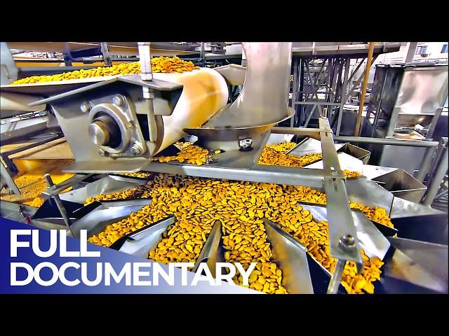 Inside Food Factories: Mega Snack Production | FD Engineering