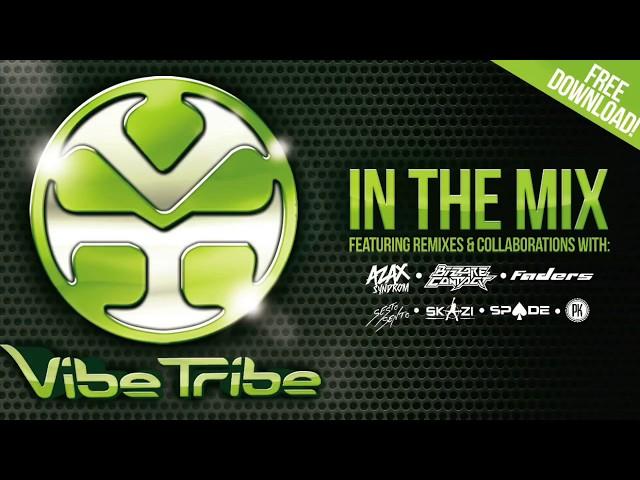 Vibe Tribe - In The Mix (Vol.1)