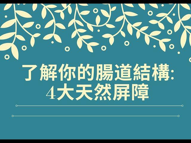 腸漏症第二集:了解你的腸道結構:4大天然屏障