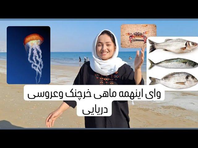 رفتیم با خانواده لب دریا شنا کردن خوشبختانه باماهگیری سر خوردیم 10مدل ماهی بود با عروس دریایی #جديد