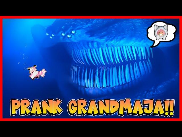 PRANK MOMON !! ATUN BERUBAH MENJADI GRANDMAJA TERBESAR !! Feat @sapipurba Roblox