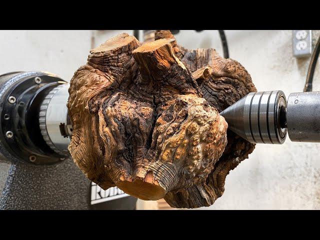 Woodturning:  The Root Burl!