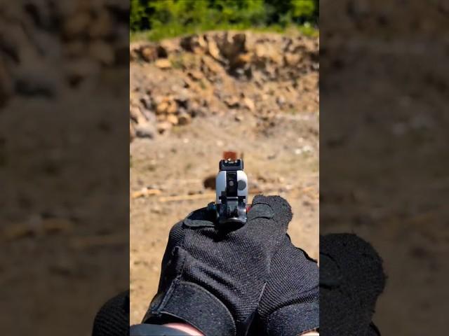 Ruger SR-1911 9MM 1st person