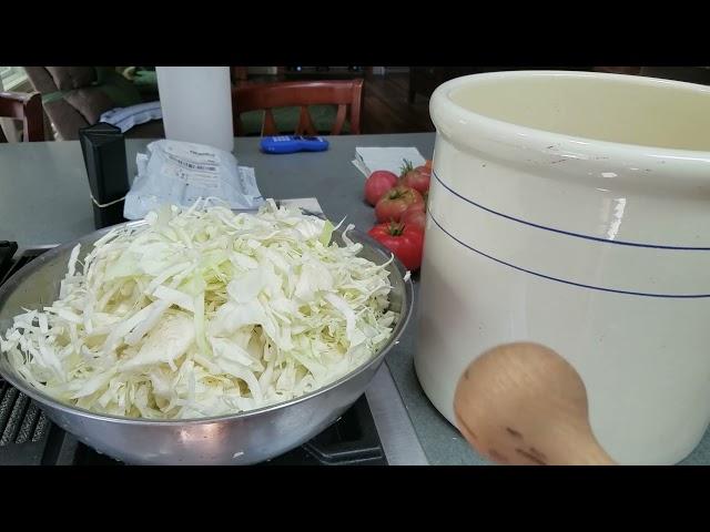 Traditional Sauerkraut in a crock   Harvest to Crock, Easy step by step