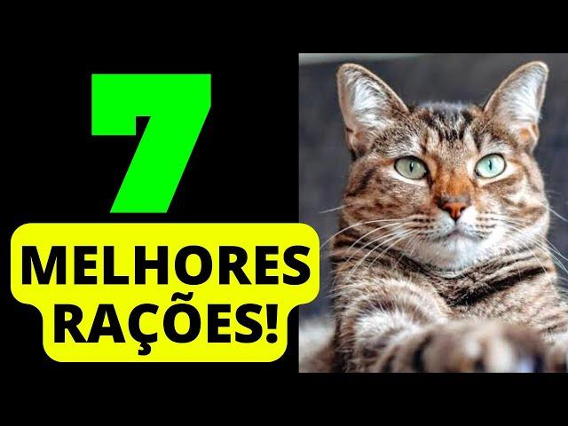 7 melhores RAÇÕES PARA GATOS 2023!!