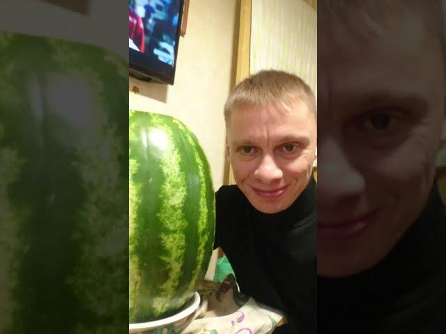 В арбузе есть только один недостаток - семечки